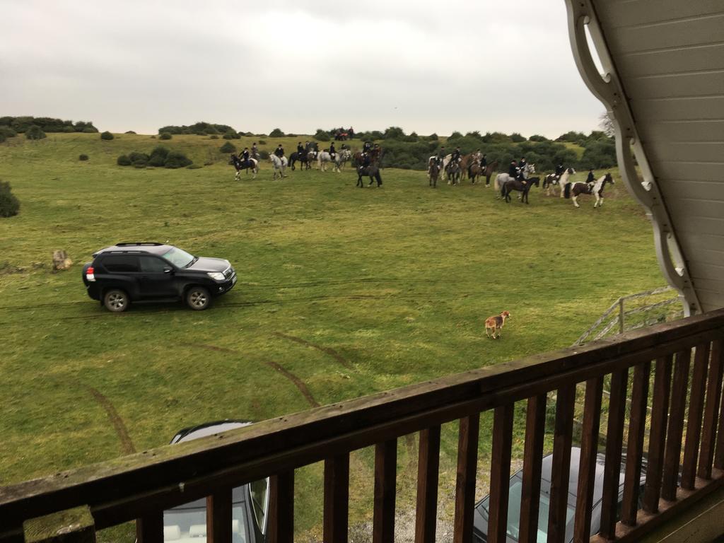 The Curragh Country House Accommodation Newbridge  Kültér fotó
